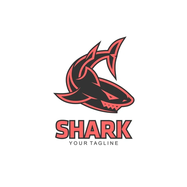 Köpekbalığı logo şablonu — Stok Vektör
