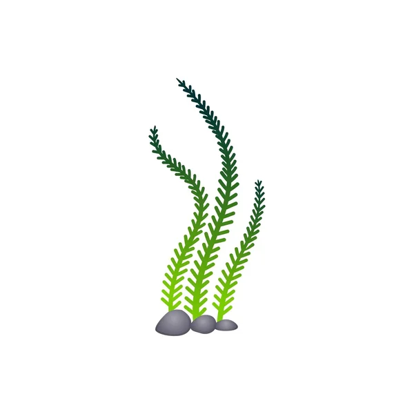 Modèle de logo d'algues marines — Image vectorielle