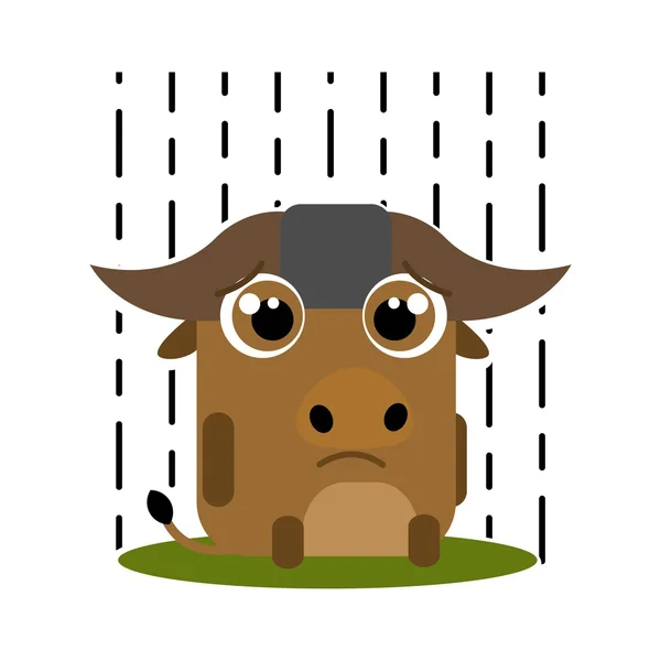 Buffalo Set Animal Expression Template — Zdjęcie stockowe