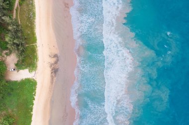 Kumlu bir sahil ve okyanus manzarası