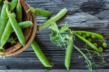 Rustik ahşap zemin üzerine yeşil PIA