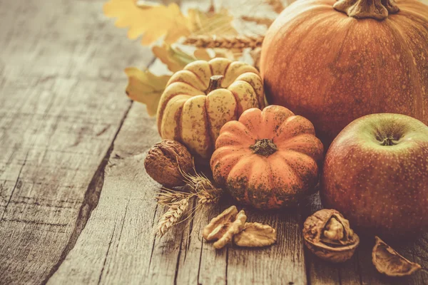 Thanksgiving decorations on rustic background — Stock Photo, Image