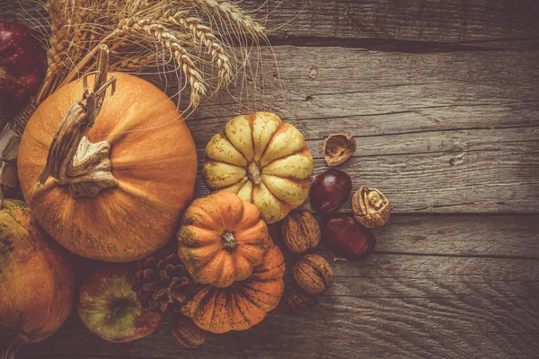 Thanksgiving decorations on rustic background