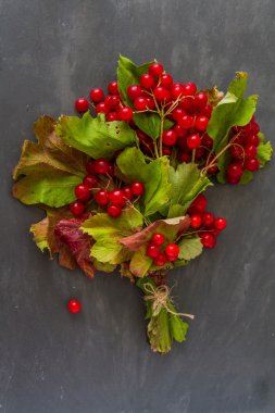 Kırmızı guelder çilek