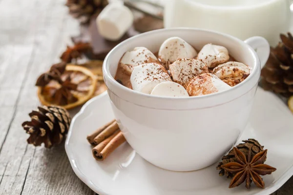 Varm choklad med marshmallows — Stockfoto