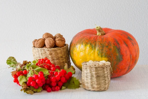 Harvest - pumpkin, walnuts — Stock Photo, Image