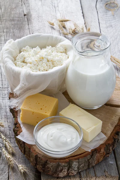 Auswahl an Milchprodukten und Weizen — Stockfoto