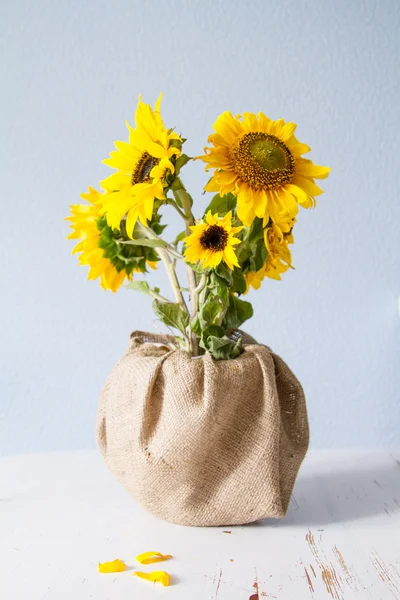 Schöne gelbe Sonnenblumen — Stockfoto