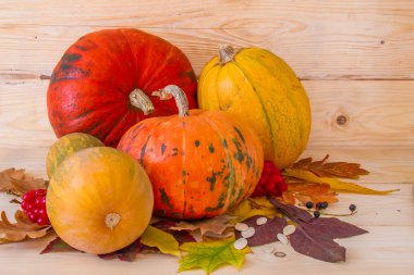 Renkli kabaklar ve diğer sebzeler