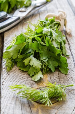 Dereotu ve maydanoz rustik ahşap zemin üzerine