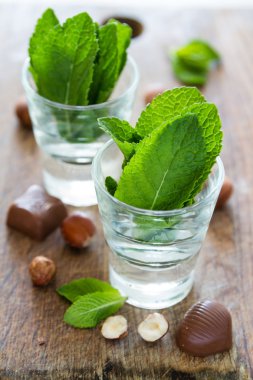 Fresh mint leaves in glass