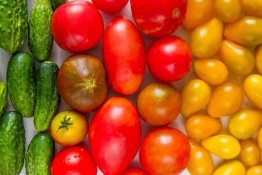 Kırmızı ve sarı domates ve salatalık