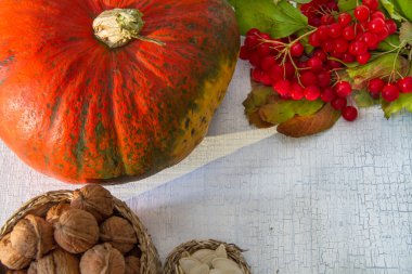 Hasat - kabak, ceviz