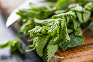 Otlar arka plan koyu taş zemin üzerine