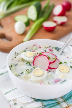 taze sebze ve kefir ile çorbası