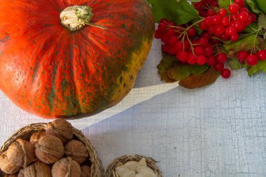 Hasat - kabak, ceviz