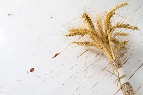 Wheat on rustic white wood — Stock Photo, Image