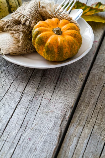 Selection of pumpkins, wheat — Stock Photo, Image