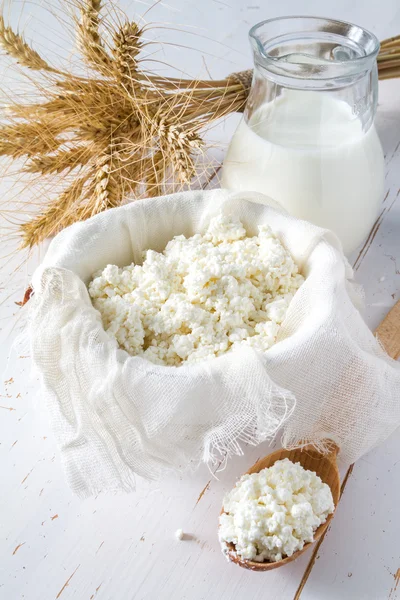 Selection of dairy products and wheat — Stock Photo, Image