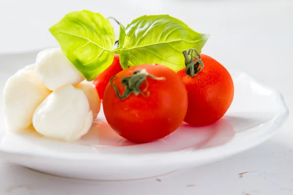 Mazzarella помідорів, базилік — стокове фото