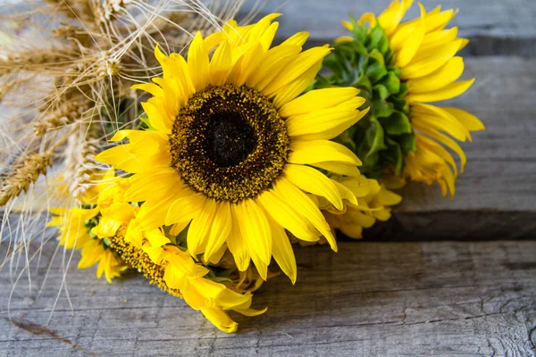 Schöne gelbe Sonnenblumen — Stockfoto