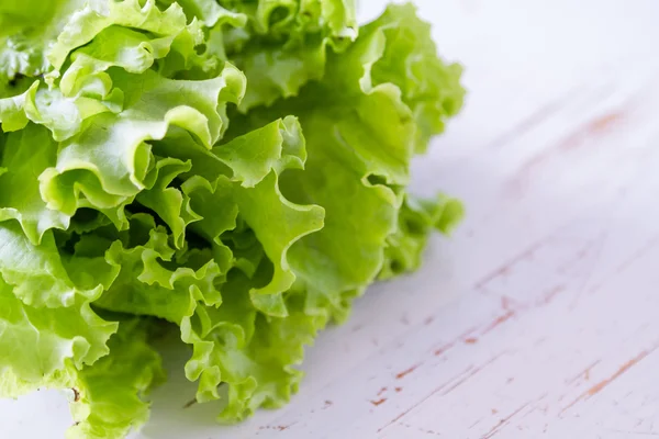 Lechuga sobre fondo blanco — Foto de Stock