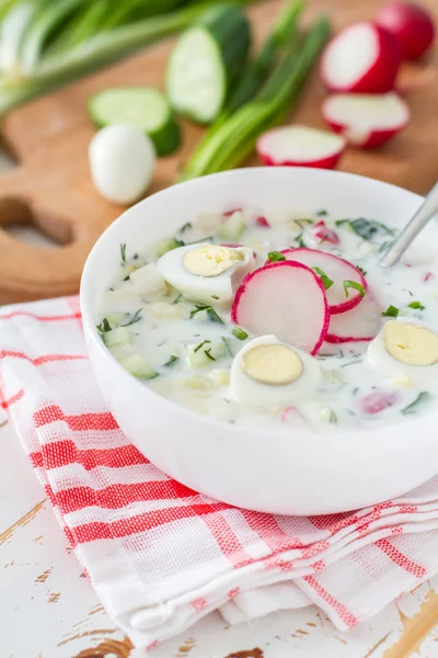 Soupe aux légumes frais et au kéfir — Photo