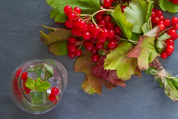 Bebida fría con madera de flecha roja — Foto de Stock