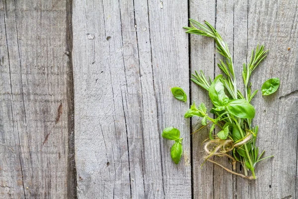 Aromatické bylinky na rustikální dřevěné pozadí — Stock fotografie