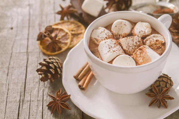 Varm choklad med marshmallows — Stockfoto