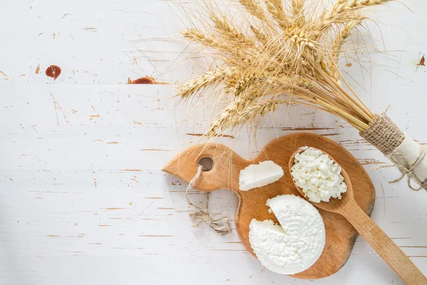 Selection of dairy products and wheat — Stock Photo, Image