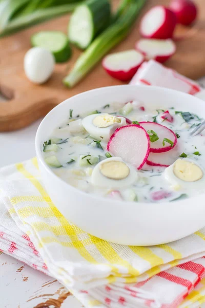 Суп зі свіжими овочами та кефіром — стокове фото