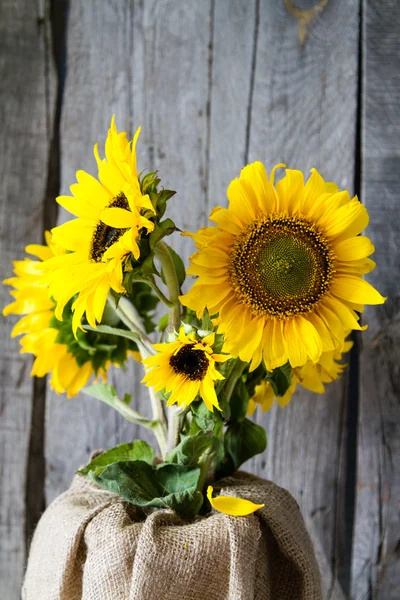 Schöne gelbe Sonnenblumen — Stockfoto