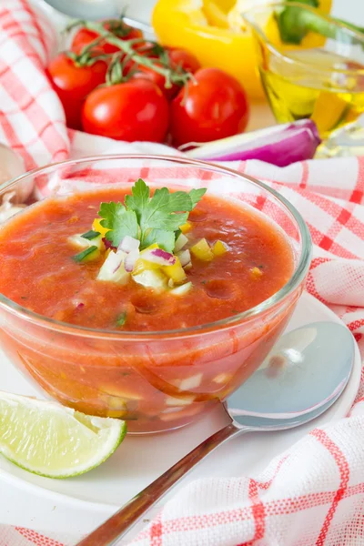 Gazpacho sopa de verano e ingredientes —  Fotos de Stock