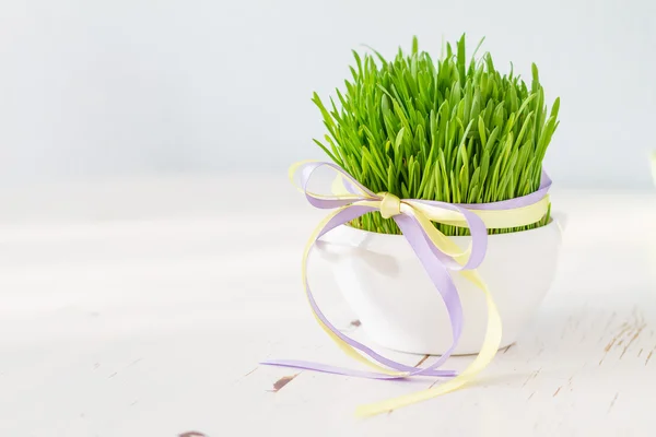 Topf mit Gras und Schleife — Stockfoto