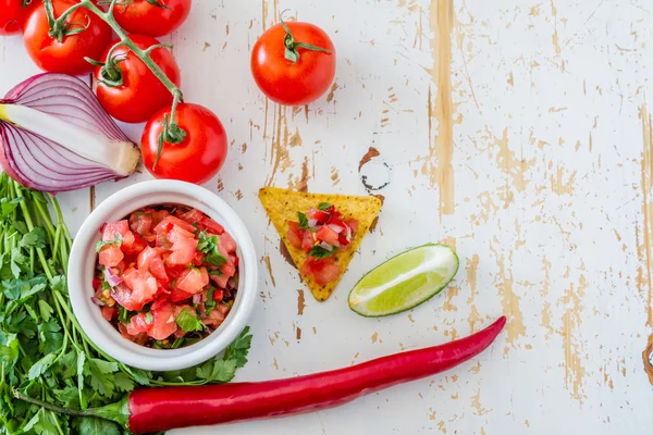 Salsa saus en ingrediënten — Stockfoto
