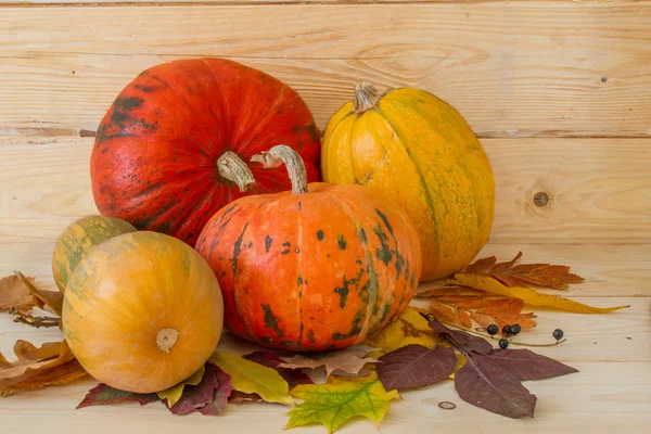 Kleurrijke pompoenen en andere groenten — Stockfoto