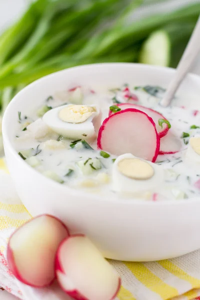 Soupe aux légumes frais et au kéfir — Photo