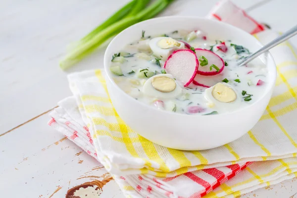 Sopa con verduras frescas y kéfir —  Fotos de Stock