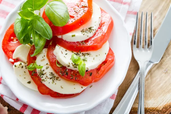 Beyaz tabakta Caprese salatası — Stok fotoğraf