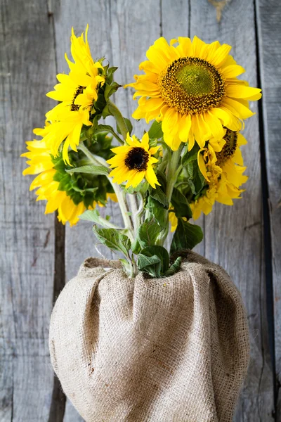 Schöne gelbe Sonnenblumen — Stockfoto