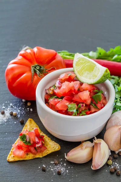 Molho de salsa e ingredientes — Fotografia de Stock