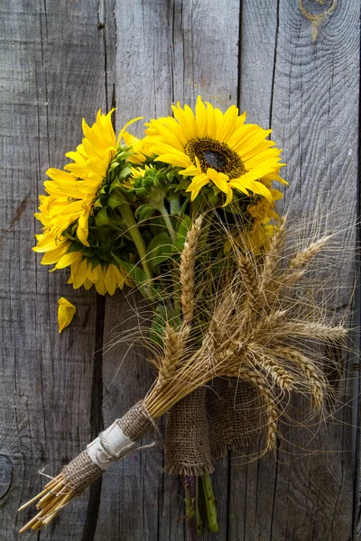 Schöne gelbe Sonnenblumen — Stockfoto