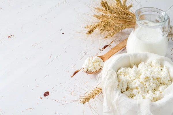 Selection of dairy products and wheat — Stock Photo, Image