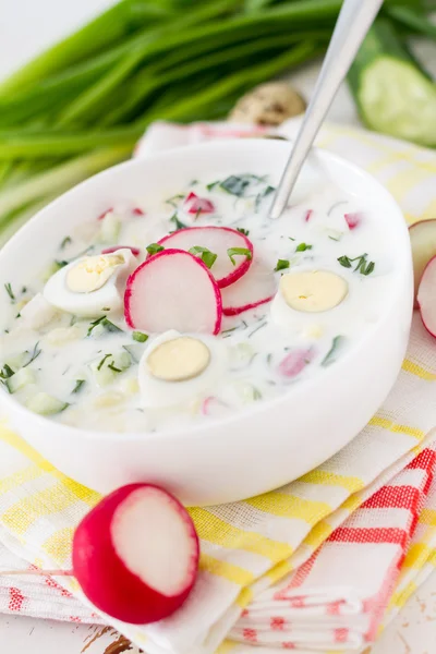 Soupe aux légumes frais et au kéfir — Photo