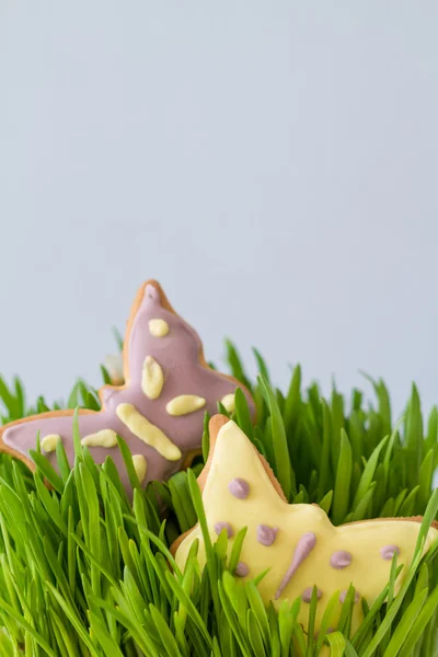 Pascua - galletas de mariposa en la hierba — Foto de Stock