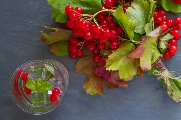 Bebida fría con madera de flecha roja — Foto de Stock