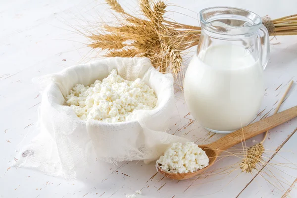 Süt ürünleri ve buğday seçimi — Stok fotoğraf