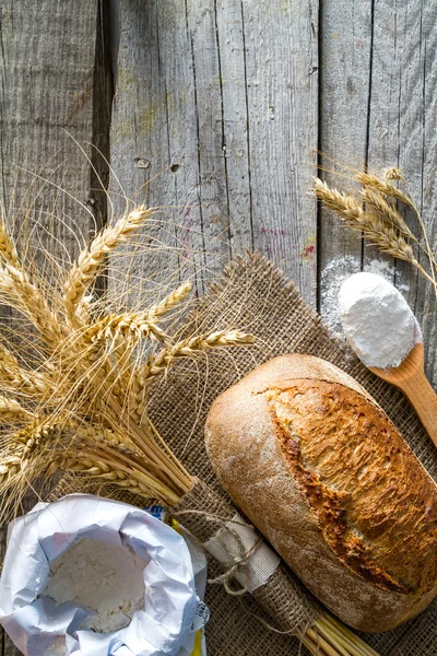 Pão, centeio, trigo — Fotografia de Stock