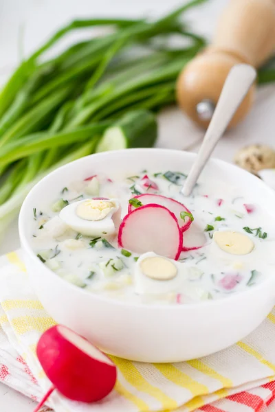 Soupe aux légumes frais et au kéfir — Photo